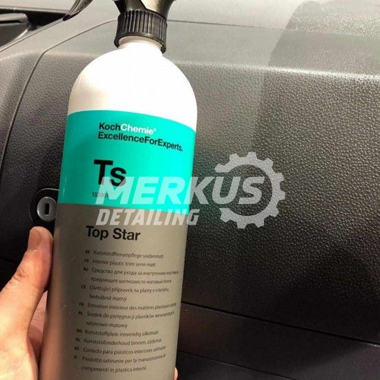 Top Star догляд за внутрішнім пластиком TS 100 мл (на розлив) 132001/100 фото Merkus detailing
